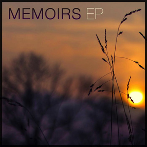 Memoirs (Feint Remix)