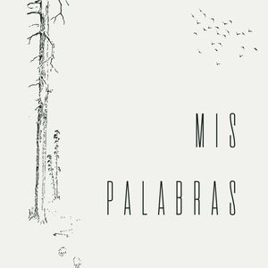 Mis Palabras
