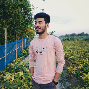 Rud dupure tumai pore mone