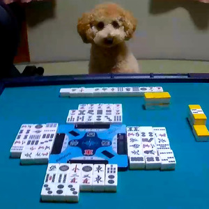 リンレン麻雀講座 (feat. 鏡音リン & 鏡音レン)