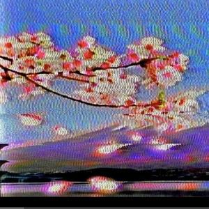 kooked (feat. vvchords)