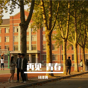 再见 青春