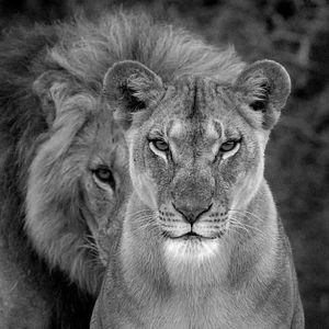 Детка ламбада