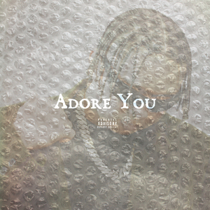 Adore You