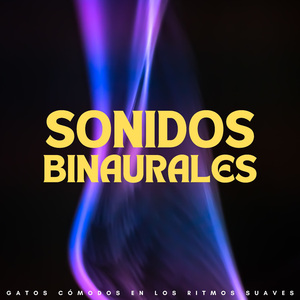 Oasis De Meditación De Hierba Gatera