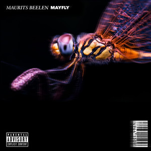 Mayfly