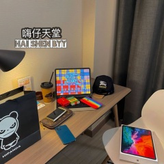 摇摆时刻 (DJ版)