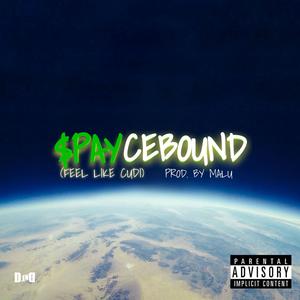$PAYCEBOUND (Feel Like Cudi)