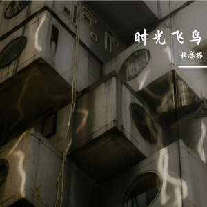 时光飞鸟