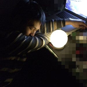 给我一只猫的温暖