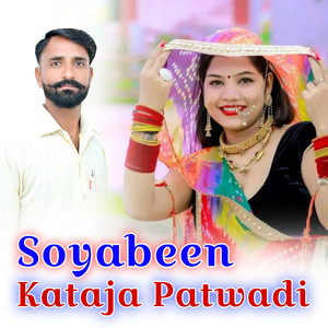 Soyabeen Kataja Patwadi