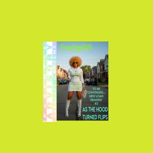 AS THE HOOD TURNED FLIPS (TO BE CONTINUED NEW LOAD REMIXED #3)