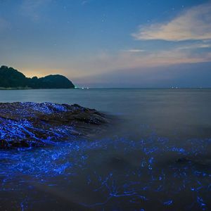 舒缓琴音与白噪引领的眠前之境