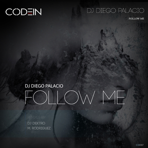 Follow Me (DJ Dextro Remix)