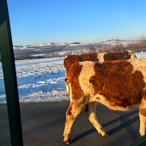 在你眼中我是谁