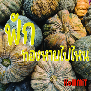 ฟักทองหายไปไหน