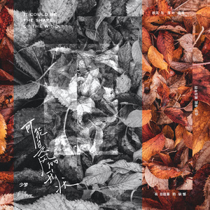 可能是风的形状（demo）