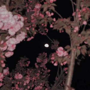 《热爱105℃的你》_195600_195626_track0_195807_track0（翻自 阿肆）