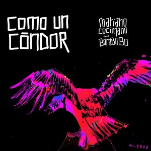 Como un Cóndor