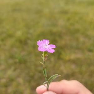 一生爱你（July：I remember you）