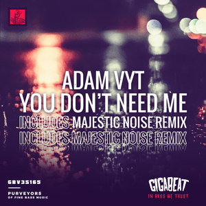 You Don't Need Me (Majestic Noise Remix)