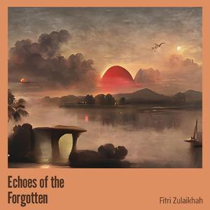 Echoes of the Forgotten