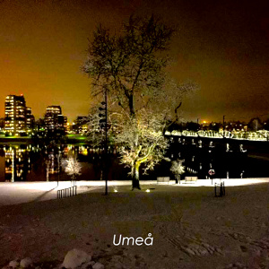 Umeå