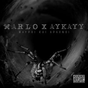 MAVROI KAI ARAXNOI (feat. AyKayy & PKMadeIt)