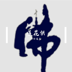 DJ小龙王-幽巷灯影诉情怀 （DJ小龙王 remix）