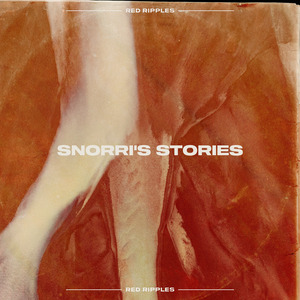 Snorri's Stories