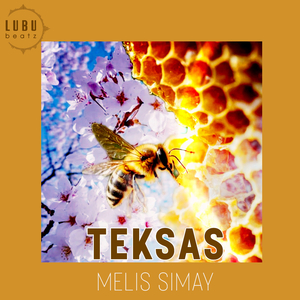 Melis Simay