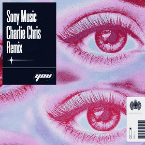 You (Charlie Chris Remix)