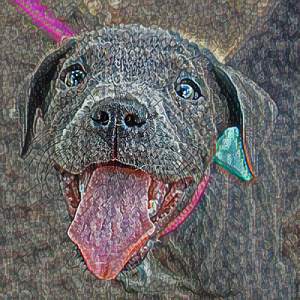 Relationships Infants