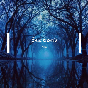 Elektronomia
