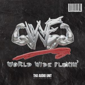 Seth Rollins (Burn It Down)