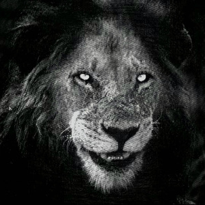 自我赎罪 狮子
