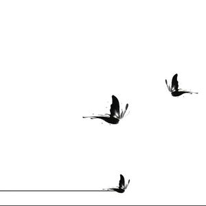 5.2freestyle(Prod.Siren＆EVOmusic)