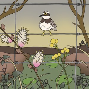 Deep House Vocal Sample Pack