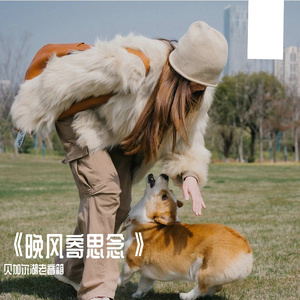 《晚风寄思念》