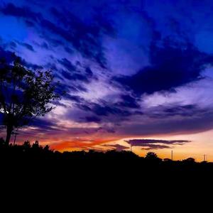 二零三(Live)1659357806