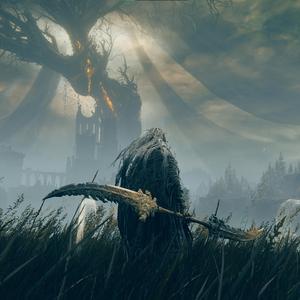 MTG JUNGUNDRA