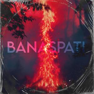 BANASPATI