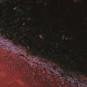 你到底想干嘛(Prod byLakewavebeatz)