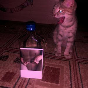Запой
