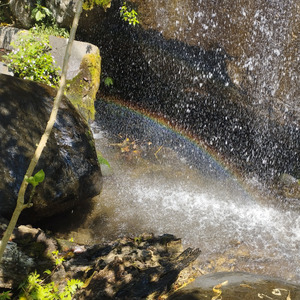 Melody of Biawak (Acoustic)