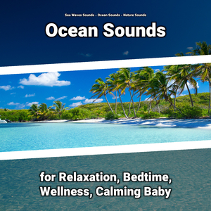 Sea Waves Sound Effect for Everyone