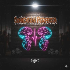 Conexión Perfecta
