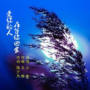 爱你的人在等你回家（小琢）