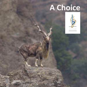 A Choice