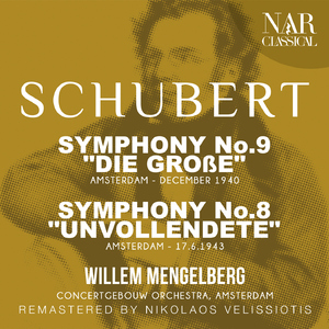 Symphony No.9 in C Major, D.944, IFS 740:I. Andante - Allegro, ma non troppo